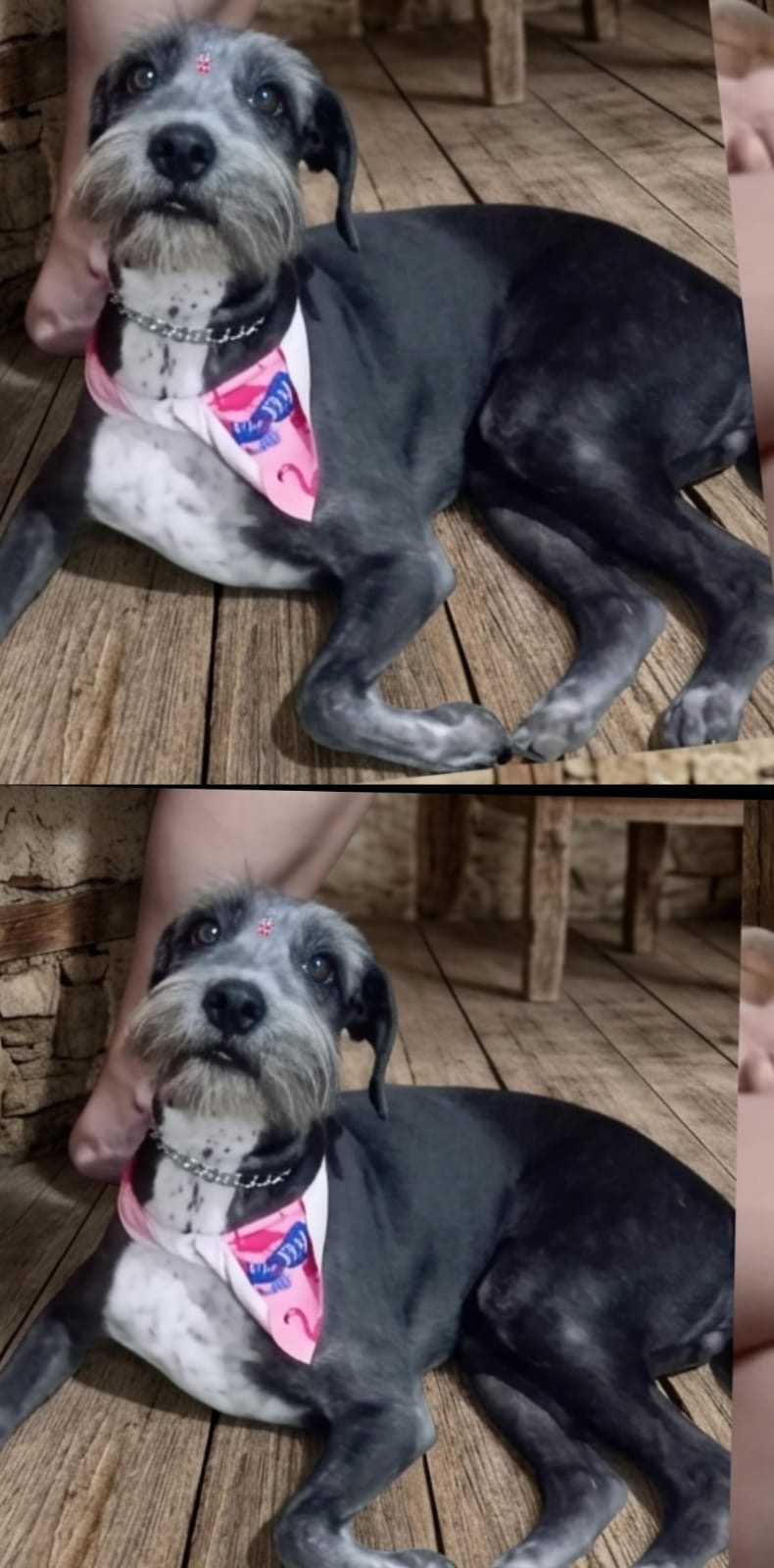 Muñeca