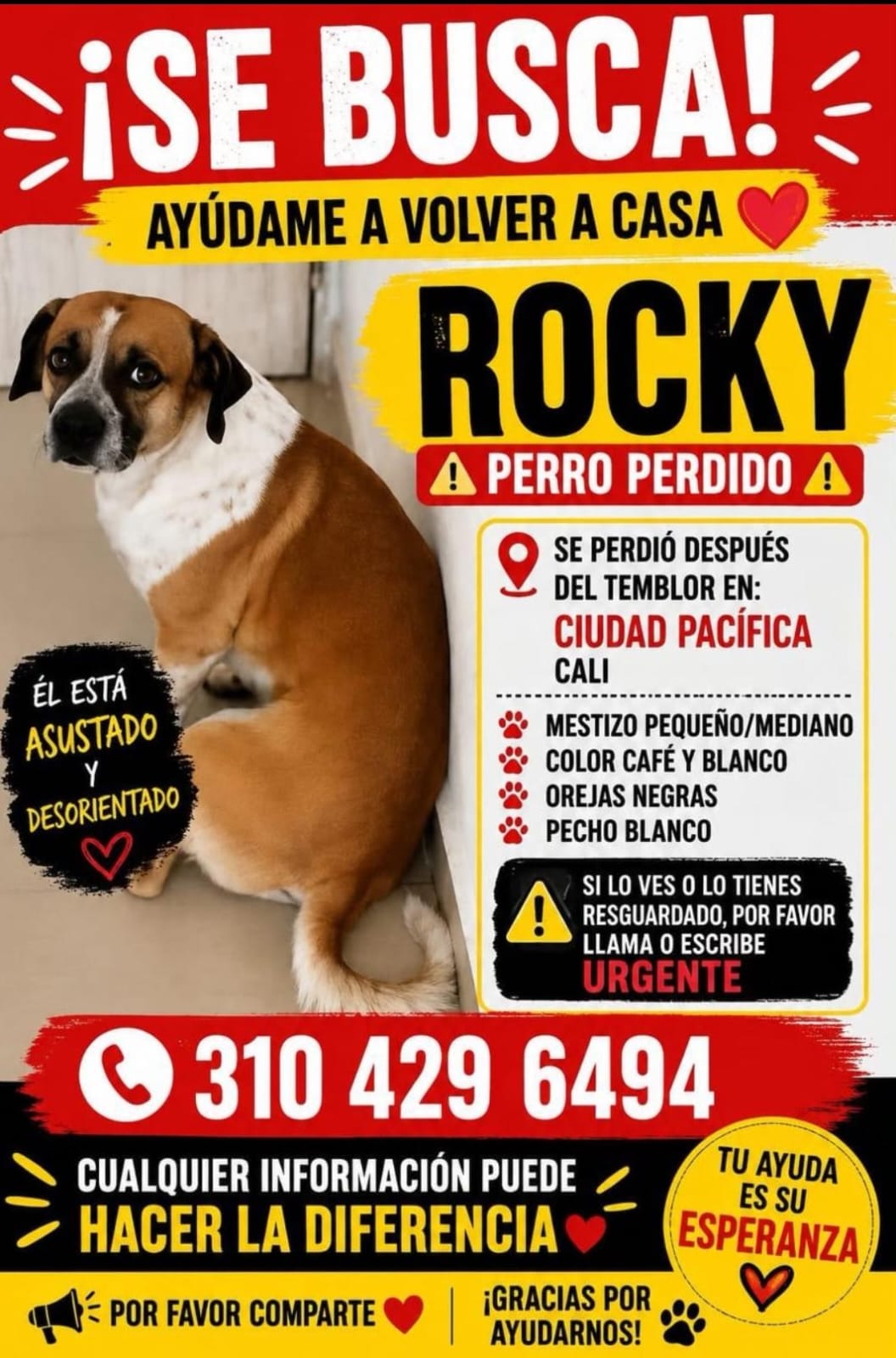 Mascota Perdida